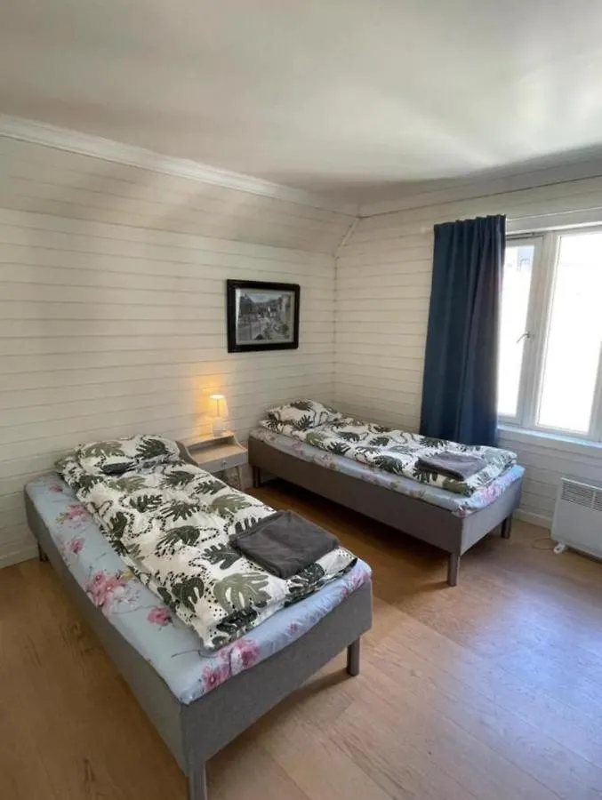 The Green House - Spacious Loft In Center Of Bergen Apartman