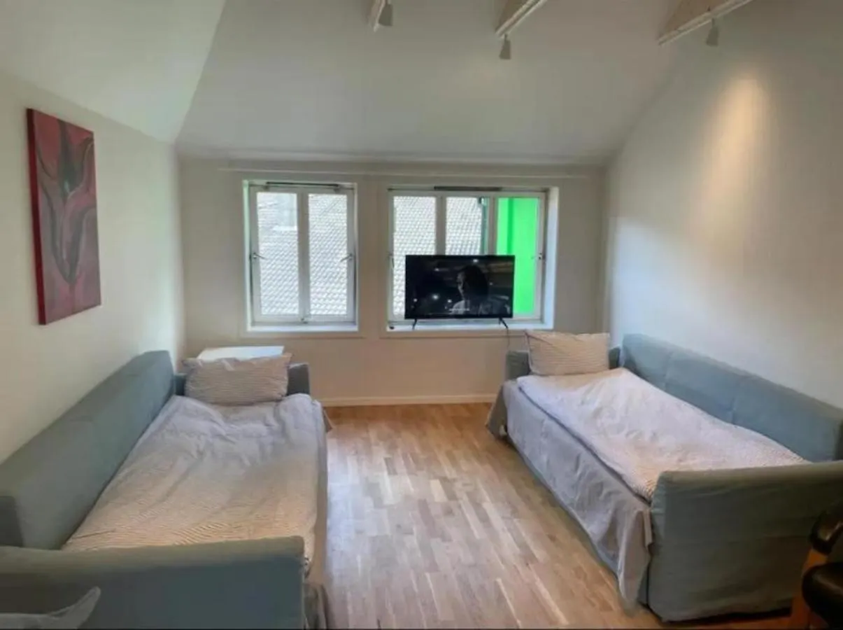 The Green House - Spacious Loft In Center Of Bergen Apartman 0*,  Norvégia