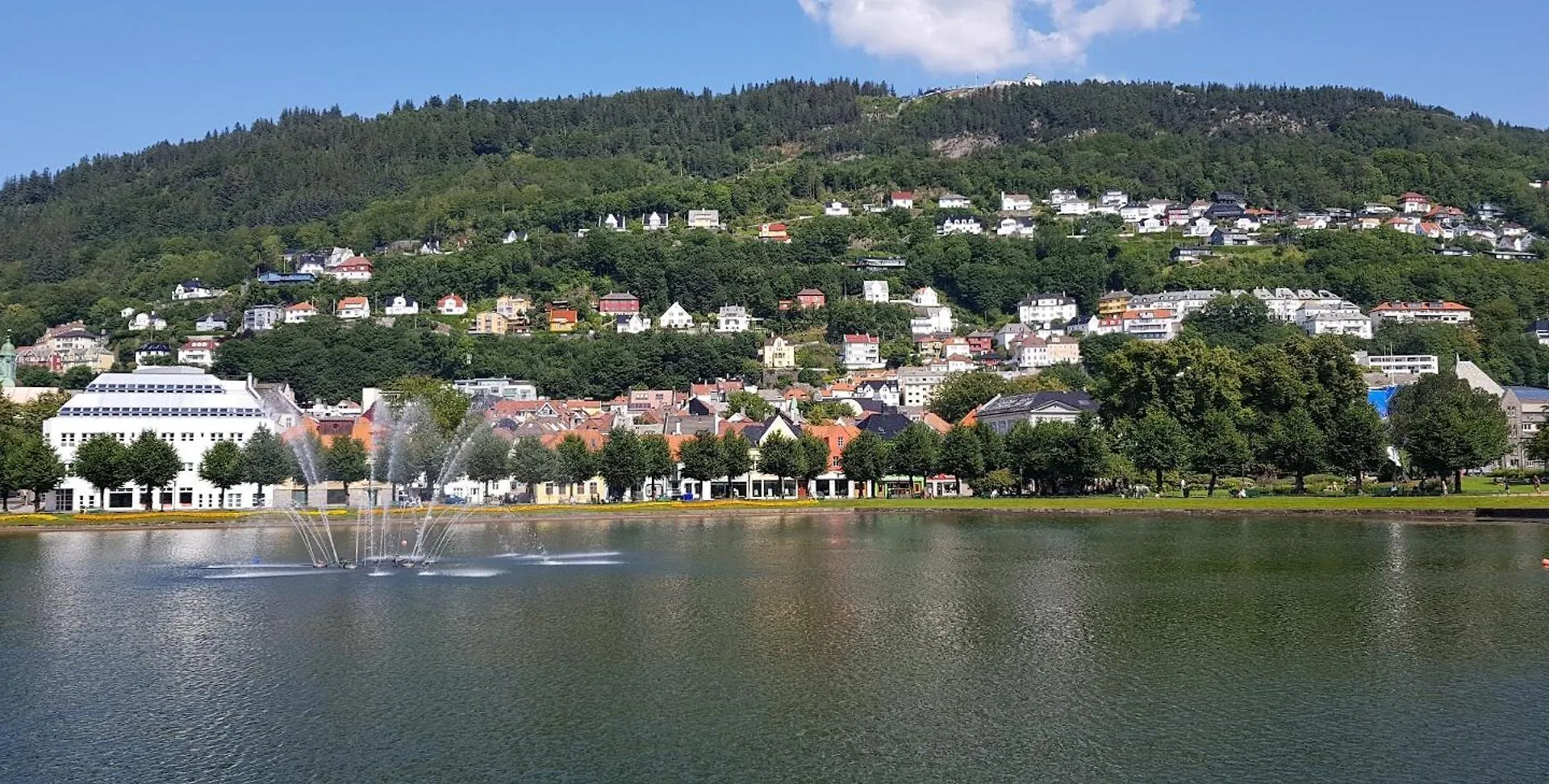 The Green House - Spacious Loft In Center Of Bergen Apartman 0*,